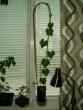 tn_gallery_3388_651_91513.jpg