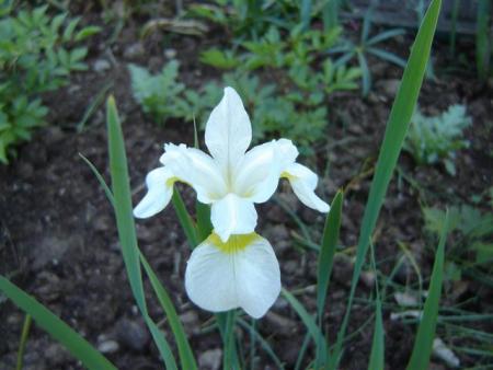 gallery_9372_655_53008.jpg