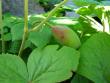 tn_gallery_9372_655_10454.jpg