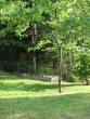 tn_gallery_9387_652_409428.jpg