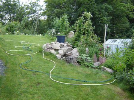 gallery_9372_655_56279.jpg