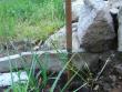 tn_gallery_9372_655_42523.jpg