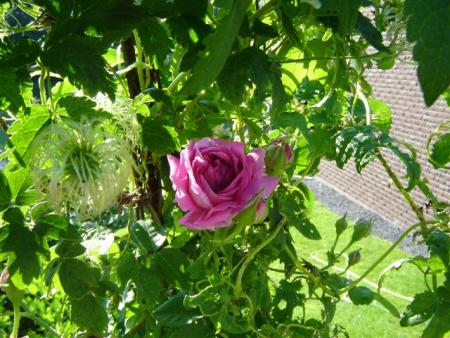 gallery_9372_655_13254.jpg