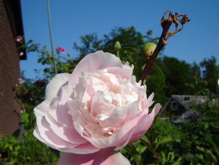 gallery_9372_655_16888.jpg