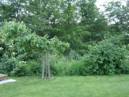 gallery_9372_655_47038.jpg