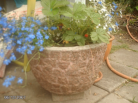 gallery_9461_278_127461.jpg