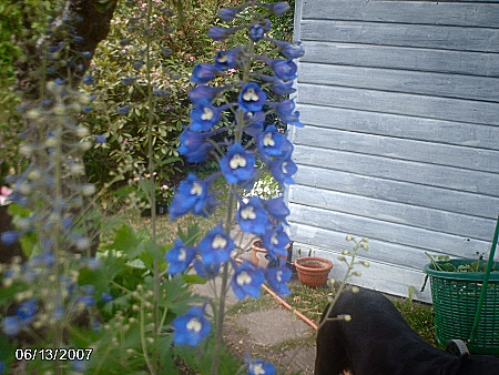 gallery_9461_278_30884.jpg