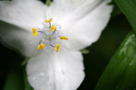 gallery_5447_41_11167.jpg