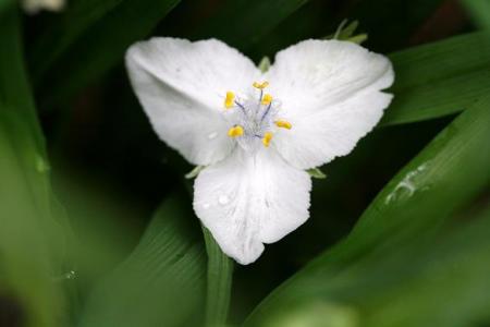 gallery_5447_41_17485.jpg