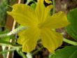 tn_gallery_1251_274_70417.jpg