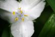 tn_gallery_5447_41_11167.jpg