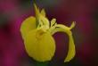 tn_gallery_5447_41_27434.jpg