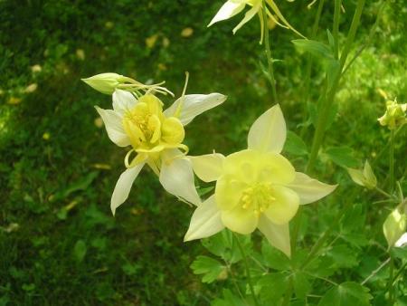 gallery_5006_626_17970.jpg