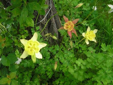 gallery_5006_626_44969.jpg