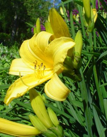 gallery_9983_627_172000.jpg