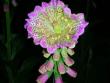 tn_gallery_2821_673_63249.jpg