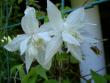 tn_gallery_3363_55_67181.jpg