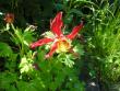 tn_gallery_5006_626_20269.jpg