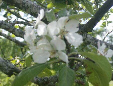 gallery_11052_687_142453.jpg