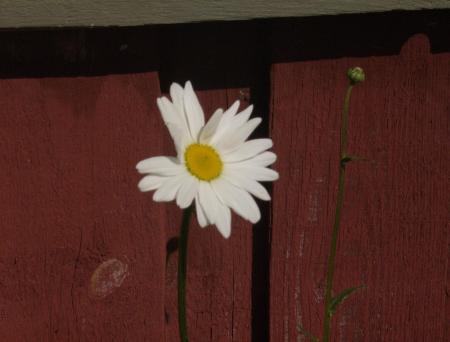 gallery_11052_687_49477.jpg