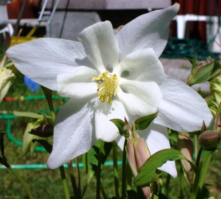 gallery_5714_454_222973.jpg