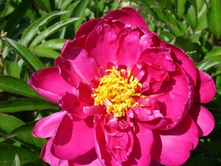 gallery_5307_535_51.jpg