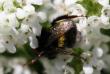 tn_gallery_4816_75_75446.jpg