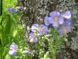 tn_gallery_5006_50_20548.jpg