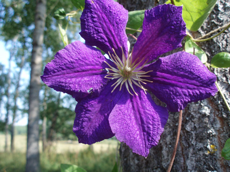 gallery_7459_699_69343.jpg