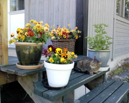 gallery_10142_697_115665.jpg