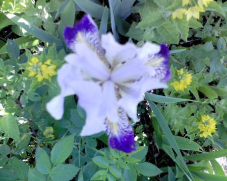 gallery_10142_697_153726.jpg