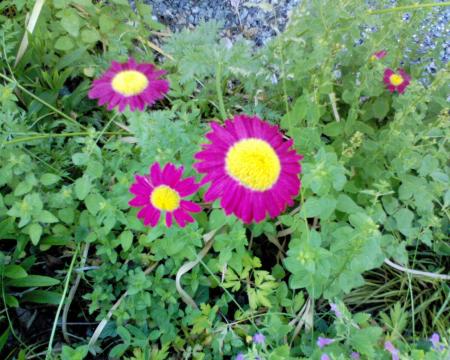 gallery_10142_697_56454.jpg