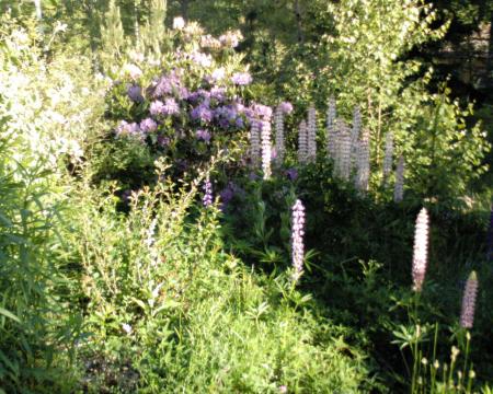 gallery_10142_697_72938.jpg