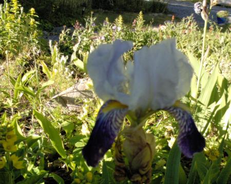 gallery_10142_697_78159.jpg