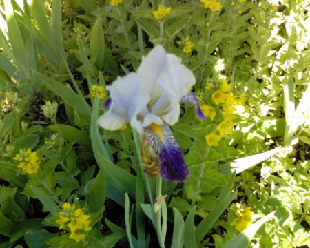 gallery_10142_697_9269.jpg