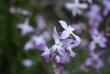 tn_gallery_11123_696_35647.jpg