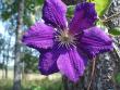 tn_gallery_7459_699_69343.jpg