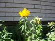 tn_gallery_9387_698_47823.jpg