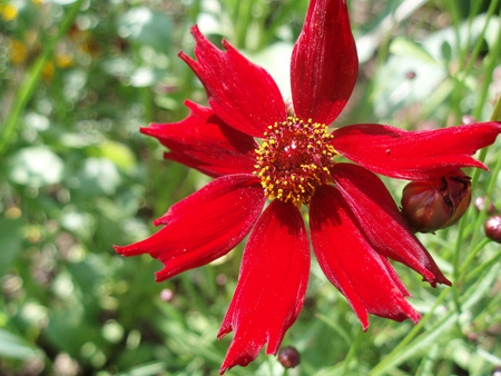 gallery_7459_705_54319.jpg