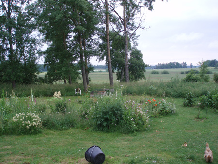 gallery_7459_711_19352.jpg