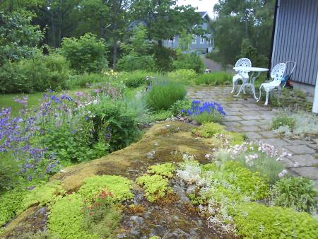 gallery_10996_706_318297.jpg
