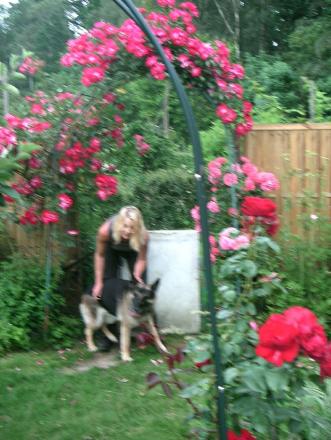 gallery_8323_287_105889.jpg