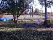 tn_gallery_7459_711_117733.jpg