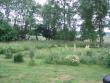 tn_gallery_7459_711_59647.jpg