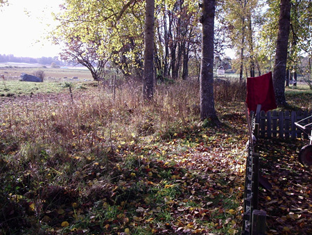 gallery_7459_711_43488.jpg