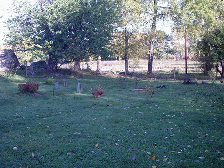 gallery_7459_711_66539.jpg
