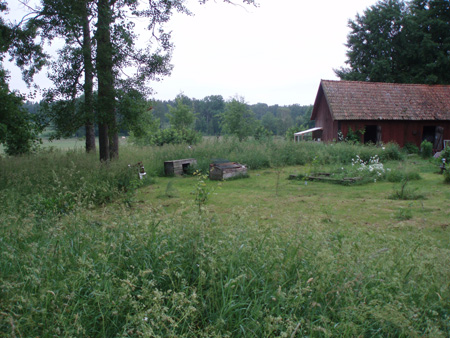 gallery_7459_711_88115.jpg