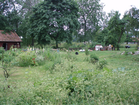 gallery_7459_712_150687.jpg