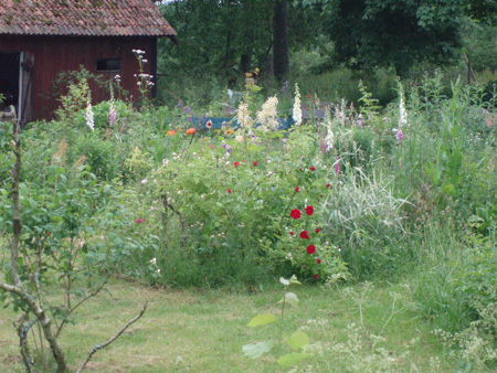 gallery_7459_712_2942.jpg