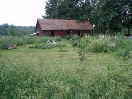 gallery_7459_712_82620.jpg